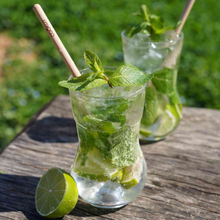 meilleurs-verres-a-mojito-2.webp