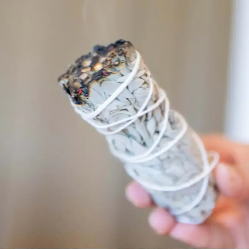 sauge-blanche-a-bruler (1).webp