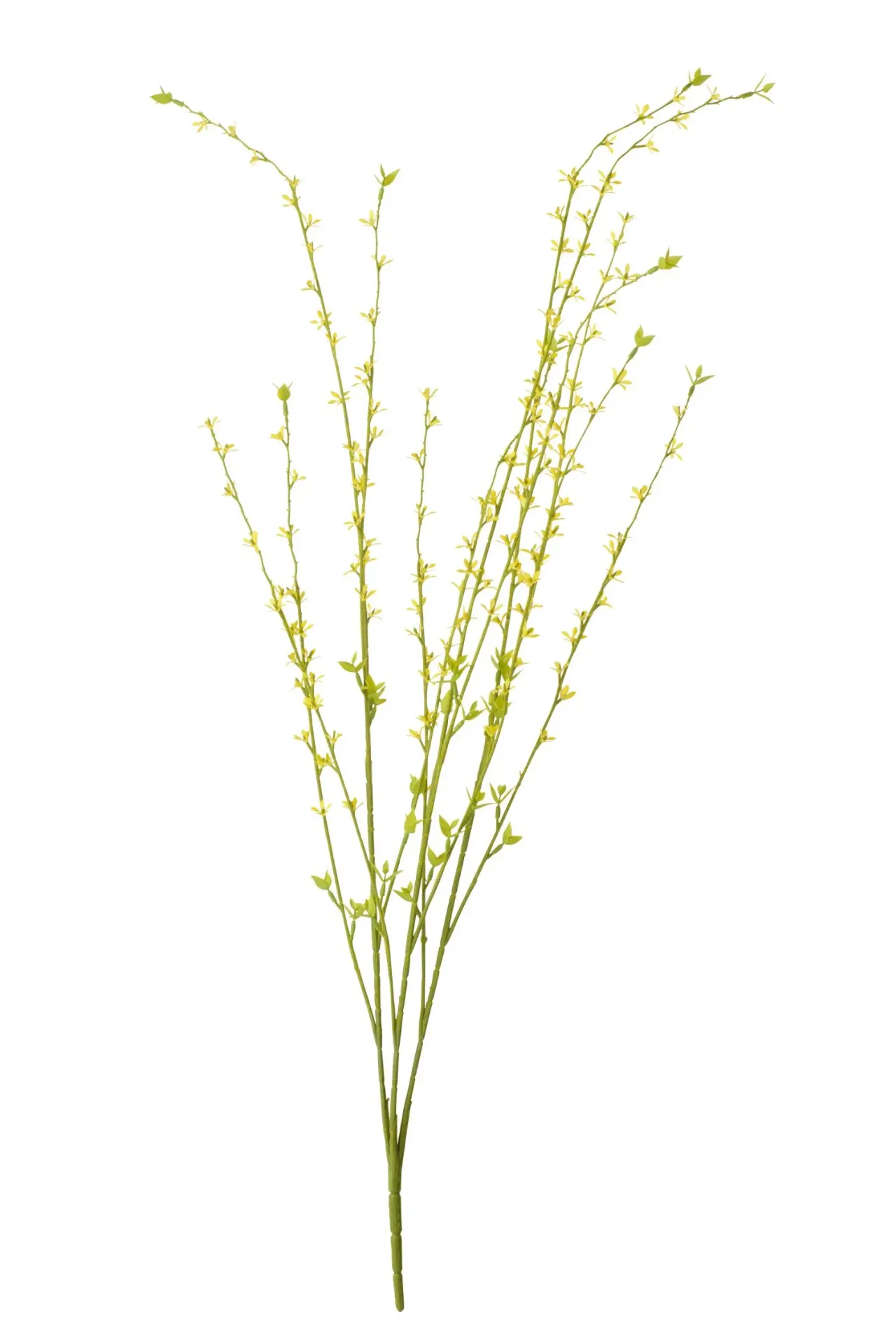 [63816] Bouquet Fleurs jaunes